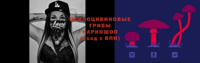 apvp Алексеевка