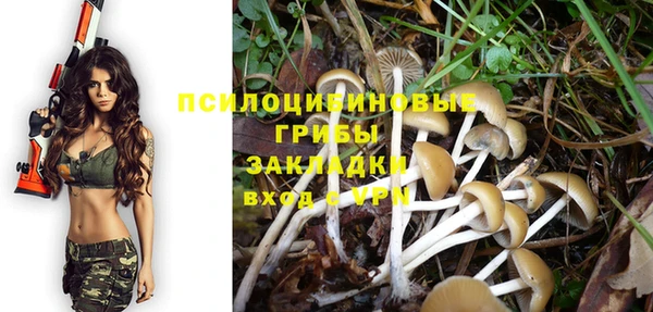 винт Алзамай