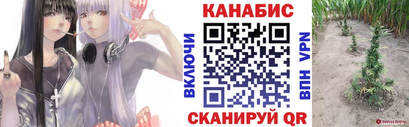 Бошки Шишки MAZAR  мега как зайти  Усть-Илимск  где купить наркоту 
